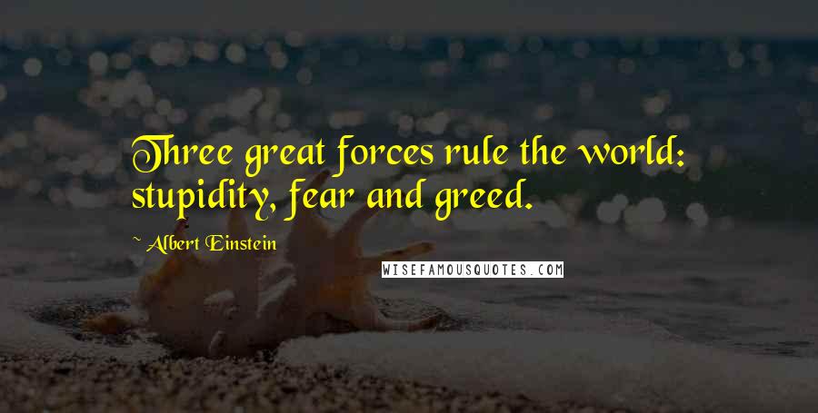 Albert Einstein Quotes: Three great forces rule the world: stupidity, fear and greed.