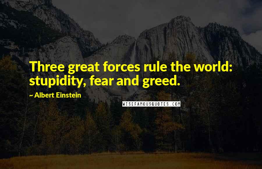 Albert Einstein Quotes: Three great forces rule the world: stupidity, fear and greed.