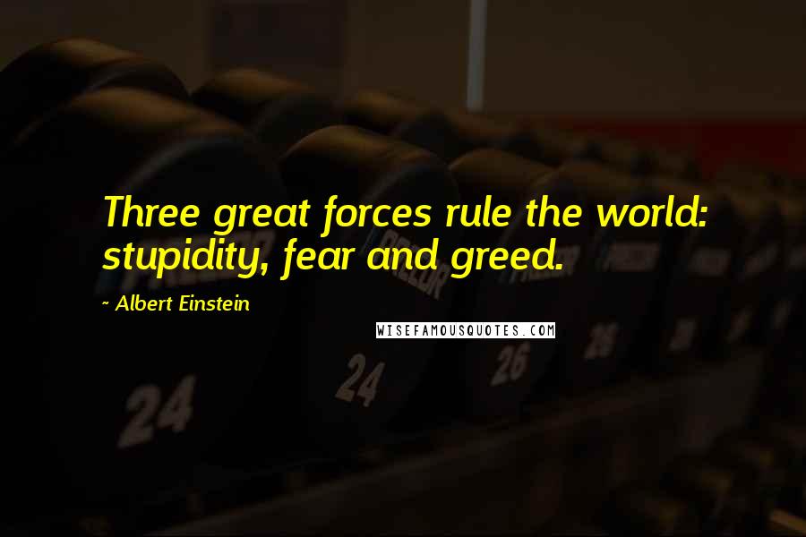 Albert Einstein Quotes: Three great forces rule the world: stupidity, fear and greed.