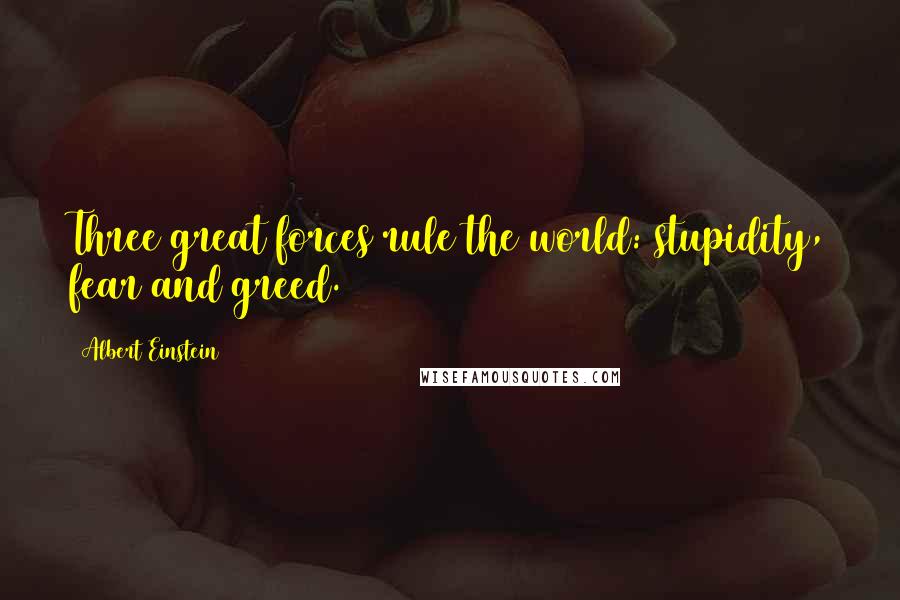 Albert Einstein Quotes: Three great forces rule the world: stupidity, fear and greed.