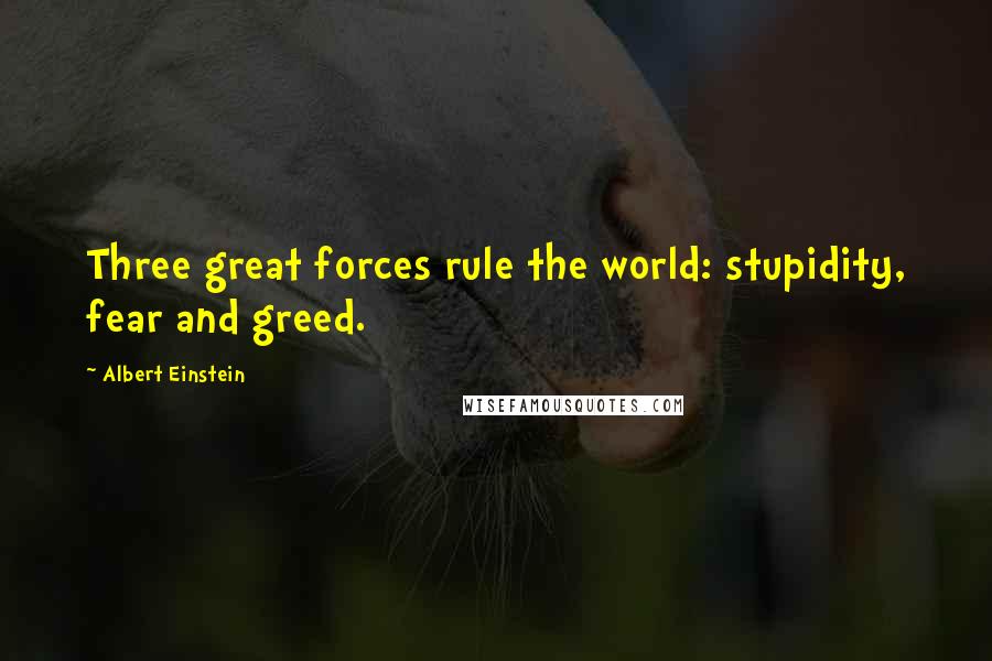 Albert Einstein Quotes: Three great forces rule the world: stupidity, fear and greed.