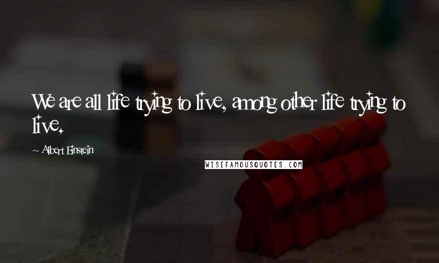 Albert Einstein Quotes: We are all life trying to live, among other life trying to live.