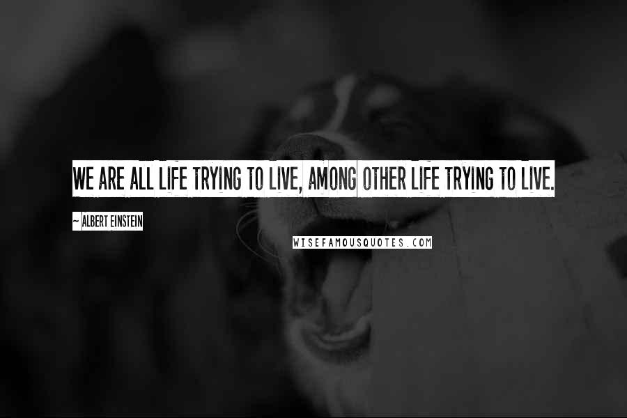 Albert Einstein Quotes: We are all life trying to live, among other life trying to live.