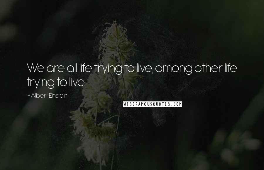 Albert Einstein Quotes: We are all life trying to live, among other life trying to live.