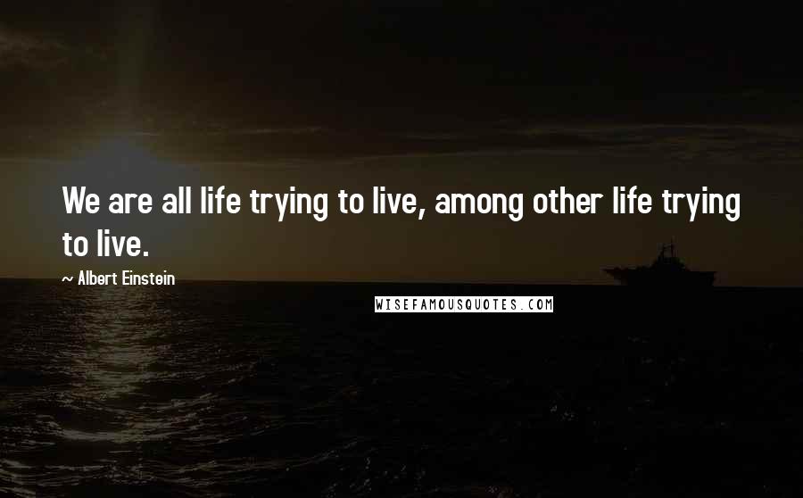 Albert Einstein Quotes: We are all life trying to live, among other life trying to live.