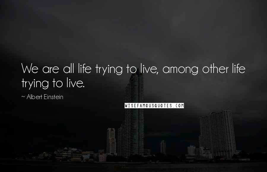 Albert Einstein Quotes: We are all life trying to live, among other life trying to live.