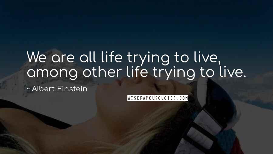 Albert Einstein Quotes: We are all life trying to live, among other life trying to live.