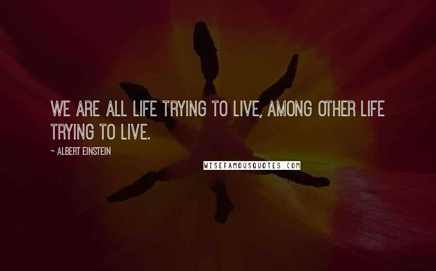 Albert Einstein Quotes: We are all life trying to live, among other life trying to live.