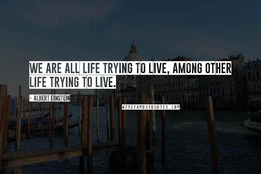 Albert Einstein Quotes: We are all life trying to live, among other life trying to live.