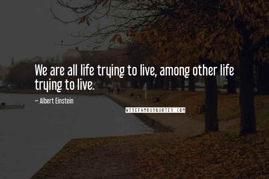 Albert Einstein Quotes: We are all life trying to live, among other life trying to live.