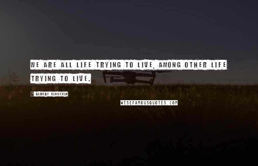 Albert Einstein Quotes: We are all life trying to live, among other life trying to live.