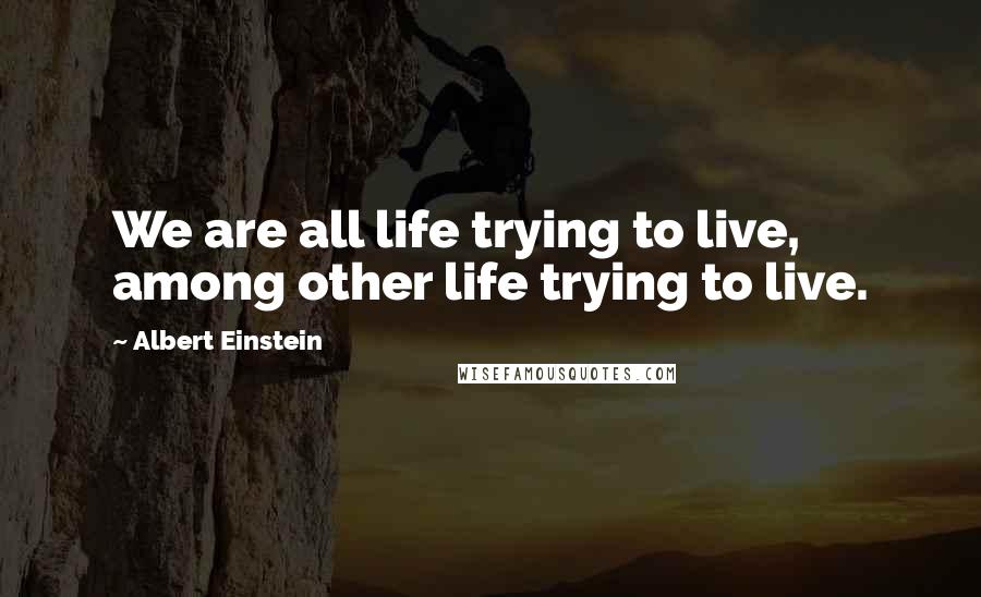 Albert Einstein Quotes: We are all life trying to live, among other life trying to live.