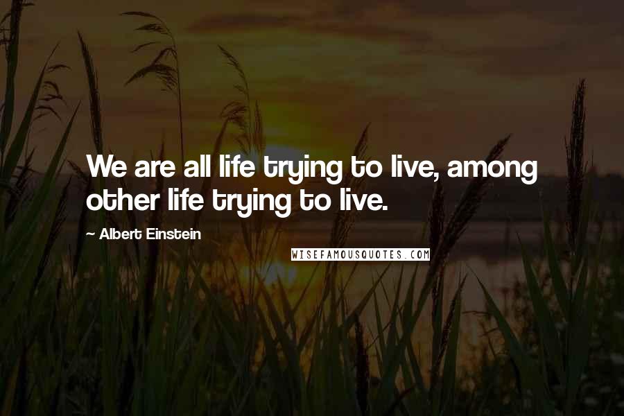 Albert Einstein Quotes: We are all life trying to live, among other life trying to live.