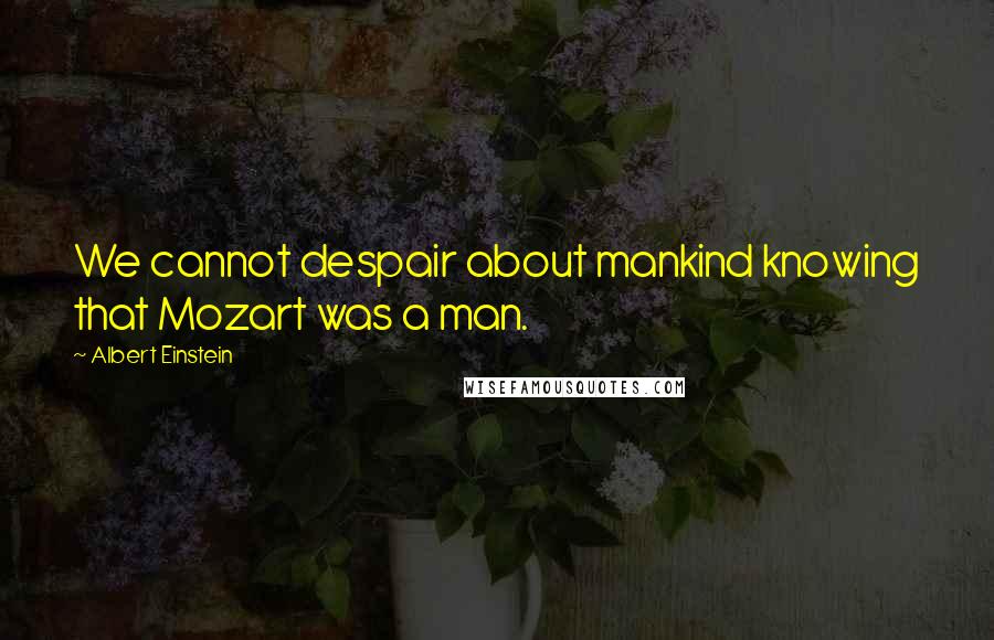 Albert Einstein Quotes: We cannot despair about mankind knowing that Mozart was a man.