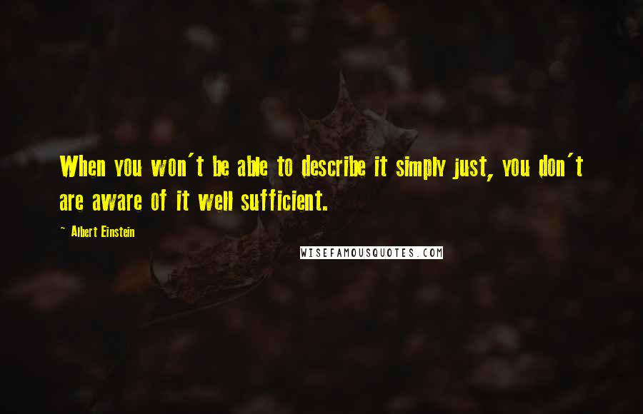 Albert Einstein Quotes: When you won't be able to describe it simply just, you don't are aware of it well sufficient.