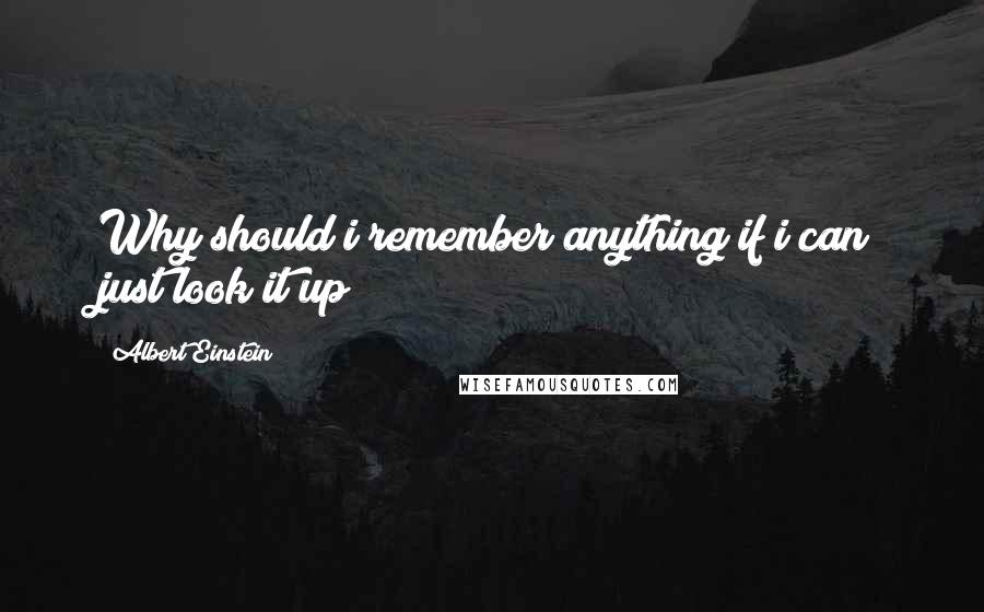 Albert Einstein Quotes: Why should i remember anything if i can just look it up?