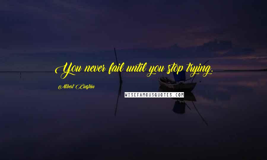 Albert Einstein Quotes: You never fail until you stop trying.