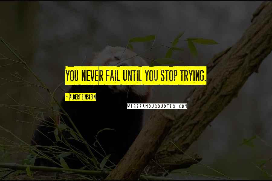 Albert Einstein Quotes: You never fail until you stop trying.