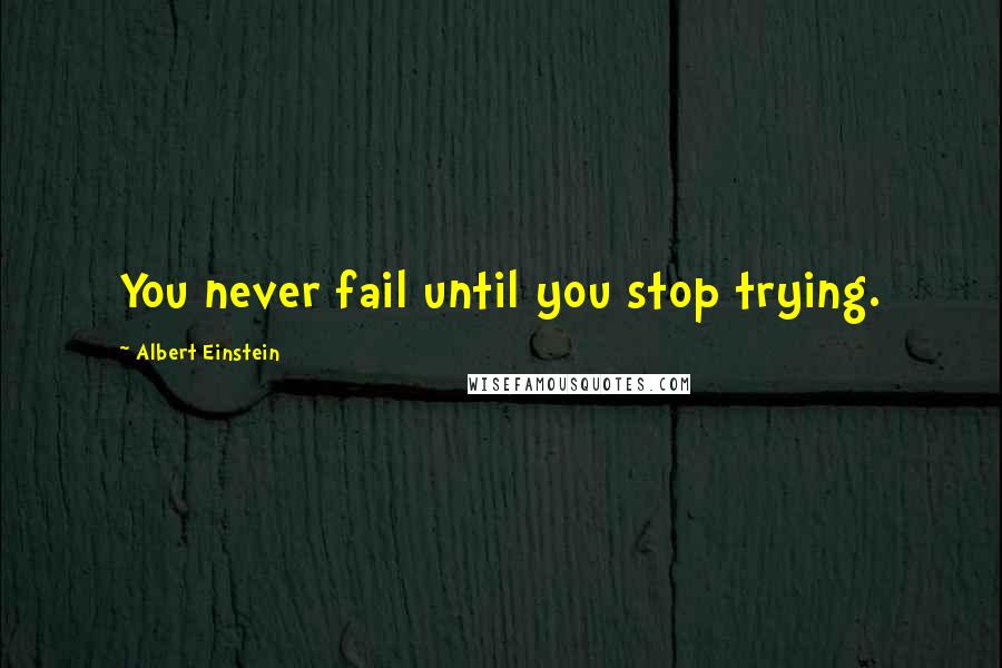 Albert Einstein Quotes: You never fail until you stop trying.