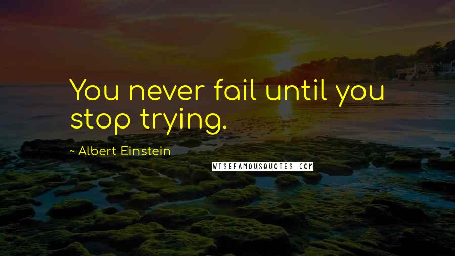 Albert Einstein Quotes: You never fail until you stop trying.