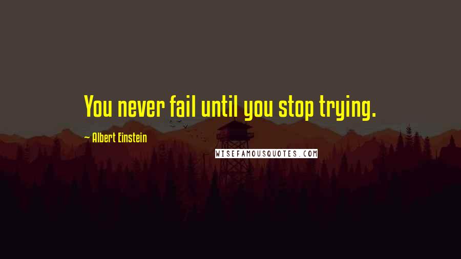 Albert Einstein Quotes: You never fail until you stop trying.