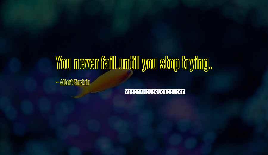 Albert Einstein Quotes: You never fail until you stop trying.