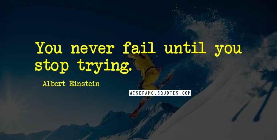 Albert Einstein Quotes: You never fail until you stop trying.