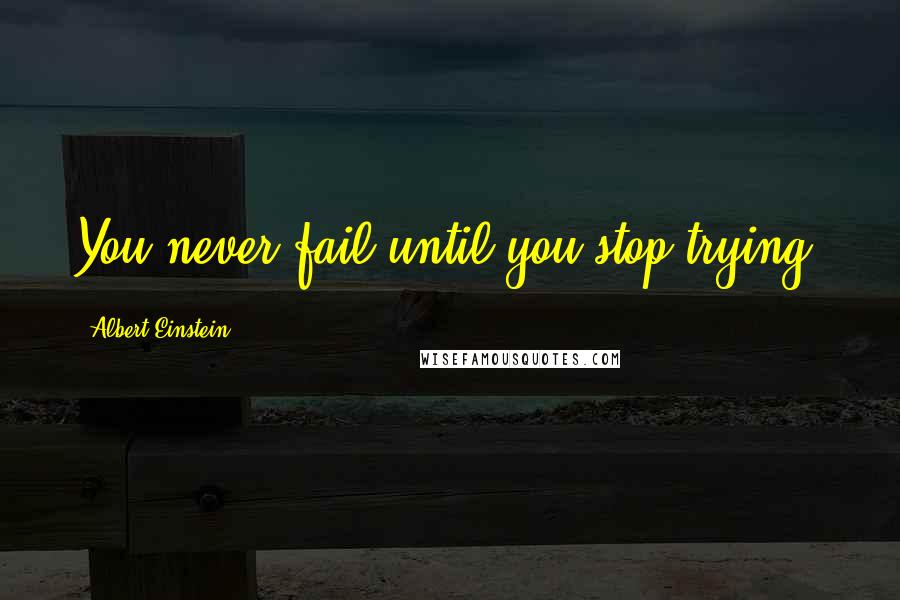 Albert Einstein Quotes: You never fail until you stop trying.