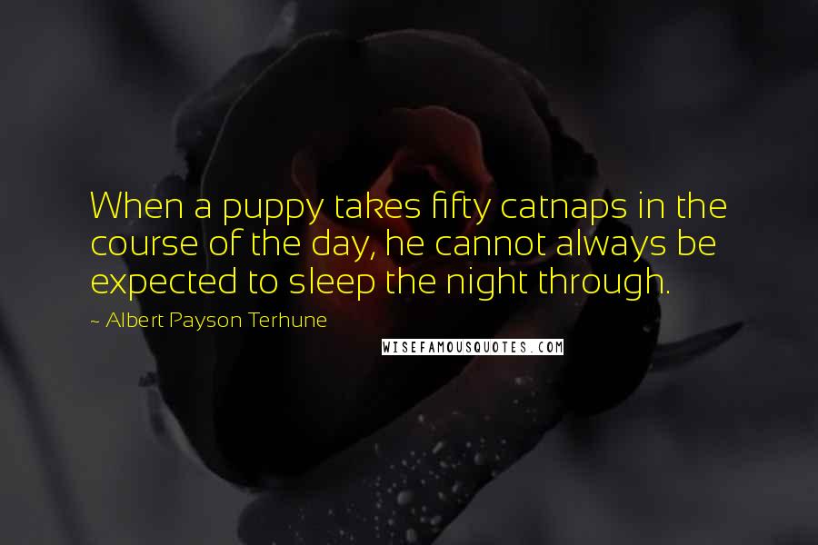 Albert Payson Terhune Quotes: When a puppy takes fifty catnaps in the course of the day, he cannot always be expected to sleep the night through.