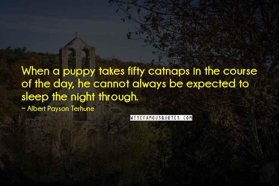 Albert Payson Terhune Quotes: When a puppy takes fifty catnaps in the course of the day, he cannot always be expected to sleep the night through.