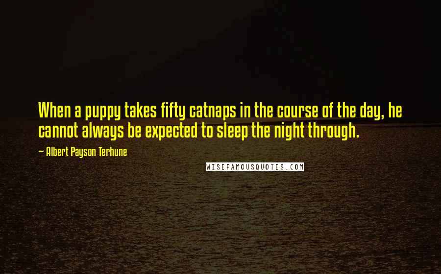 Albert Payson Terhune Quotes: When a puppy takes fifty catnaps in the course of the day, he cannot always be expected to sleep the night through.