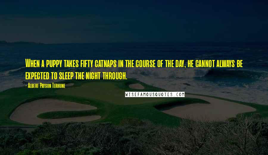 Albert Payson Terhune Quotes: When a puppy takes fifty catnaps in the course of the day, he cannot always be expected to sleep the night through.