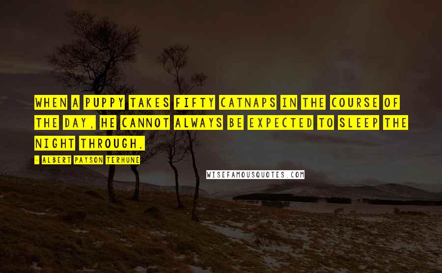 Albert Payson Terhune Quotes: When a puppy takes fifty catnaps in the course of the day, he cannot always be expected to sleep the night through.