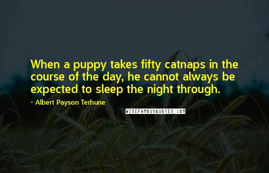 Albert Payson Terhune Quotes: When a puppy takes fifty catnaps in the course of the day, he cannot always be expected to sleep the night through.