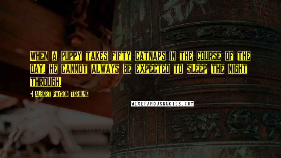 Albert Payson Terhune Quotes: When a puppy takes fifty catnaps in the course of the day, he cannot always be expected to sleep the night through.