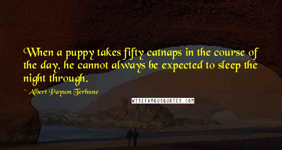 Albert Payson Terhune Quotes: When a puppy takes fifty catnaps in the course of the day, he cannot always be expected to sleep the night through.