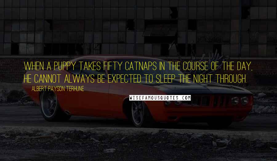 Albert Payson Terhune Quotes: When a puppy takes fifty catnaps in the course of the day, he cannot always be expected to sleep the night through.