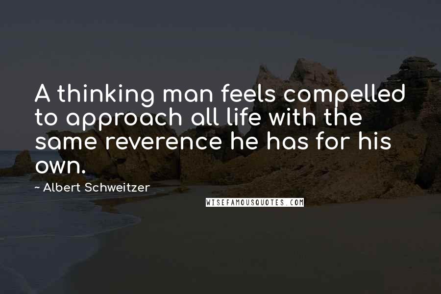 Albert Schweitzer Quotes: A thinking man feels compelled to approach all life with the same reverence he has for his own.