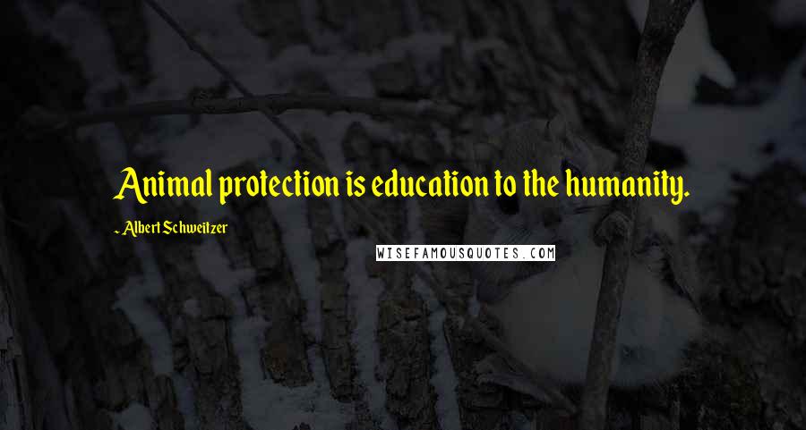 Albert Schweitzer Quotes: Animal protection is education to the humanity.