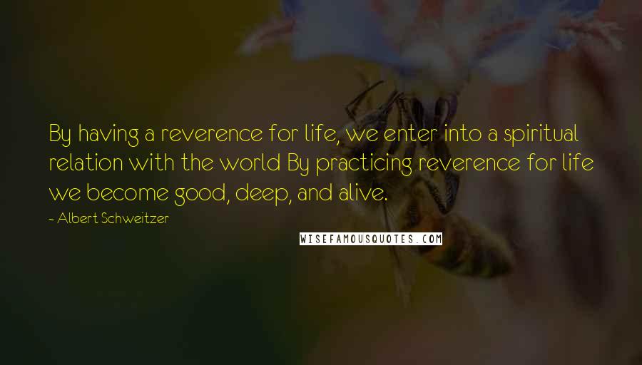 Albert Schweitzer Quotes: By having a reverence for life, we enter into a spiritual relation with the world By practicing reverence for life we become good, deep, and alive.