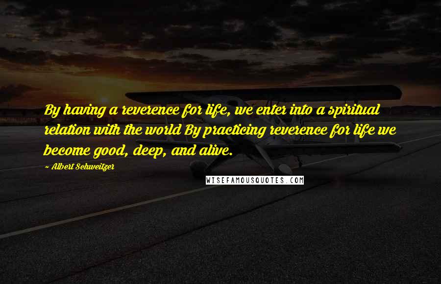 Albert Schweitzer Quotes: By having a reverence for life, we enter into a spiritual relation with the world By practicing reverence for life we become good, deep, and alive.