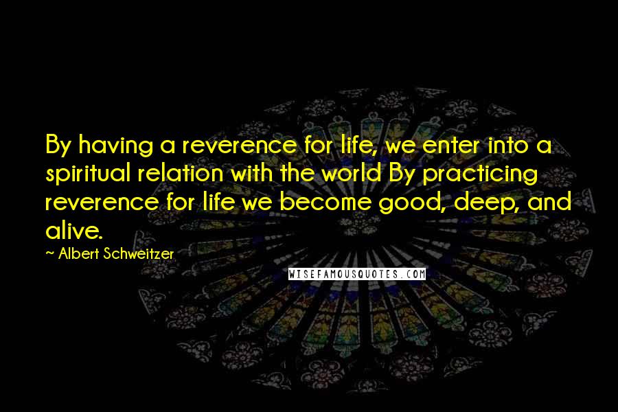 Albert Schweitzer Quotes: By having a reverence for life, we enter into a spiritual relation with the world By practicing reverence for life we become good, deep, and alive.