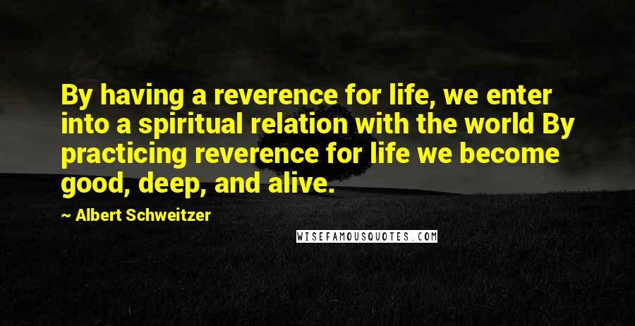 Albert Schweitzer Quotes: By having a reverence for life, we enter into a spiritual relation with the world By practicing reverence for life we become good, deep, and alive.