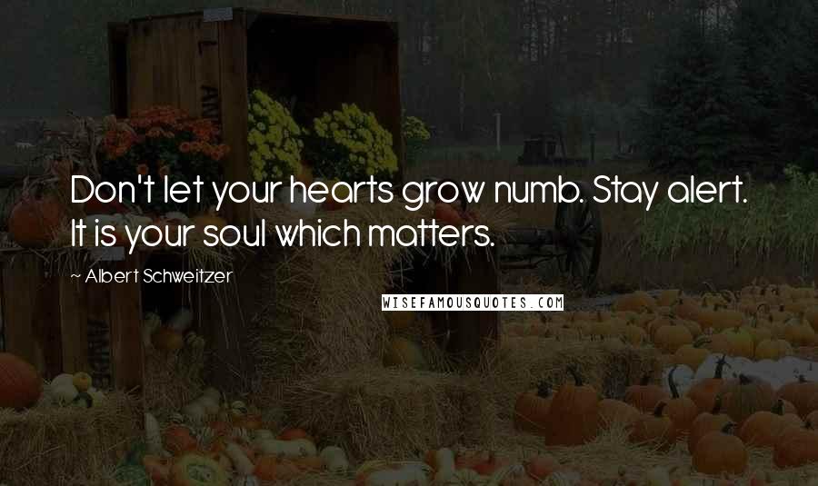 Albert Schweitzer Quotes: Don't let your hearts grow numb. Stay alert. It is your soul which matters.