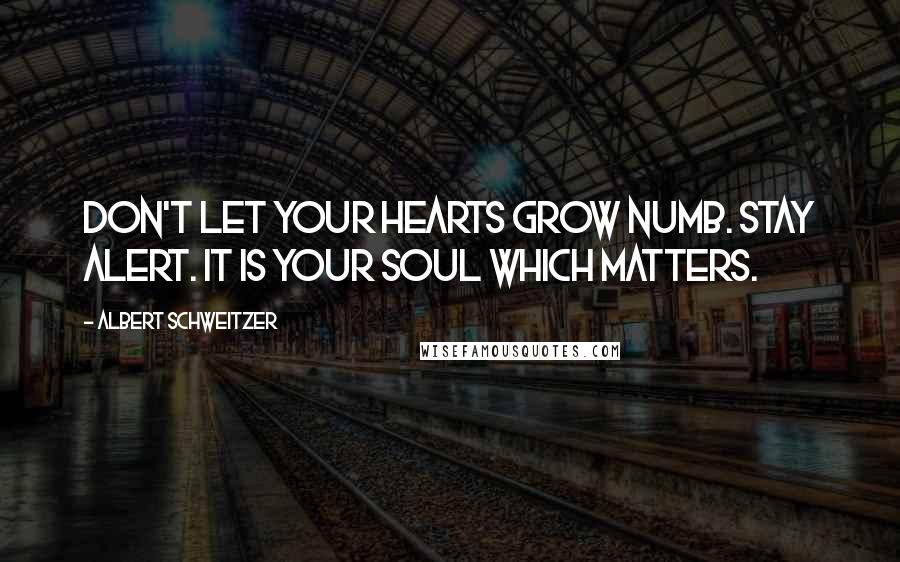 Albert Schweitzer Quotes: Don't let your hearts grow numb. Stay alert. It is your soul which matters.