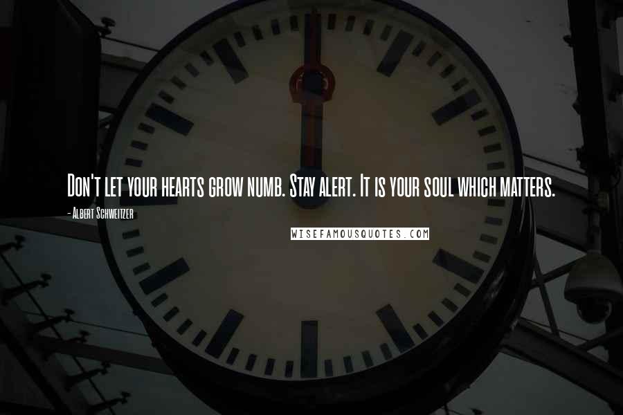 Albert Schweitzer Quotes: Don't let your hearts grow numb. Stay alert. It is your soul which matters.