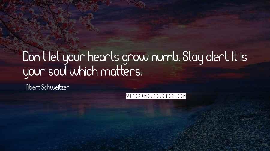 Albert Schweitzer Quotes: Don't let your hearts grow numb. Stay alert. It is your soul which matters.