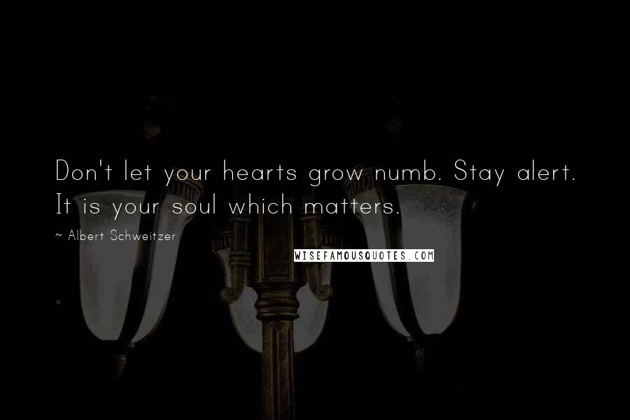 Albert Schweitzer Quotes: Don't let your hearts grow numb. Stay alert. It is your soul which matters.
