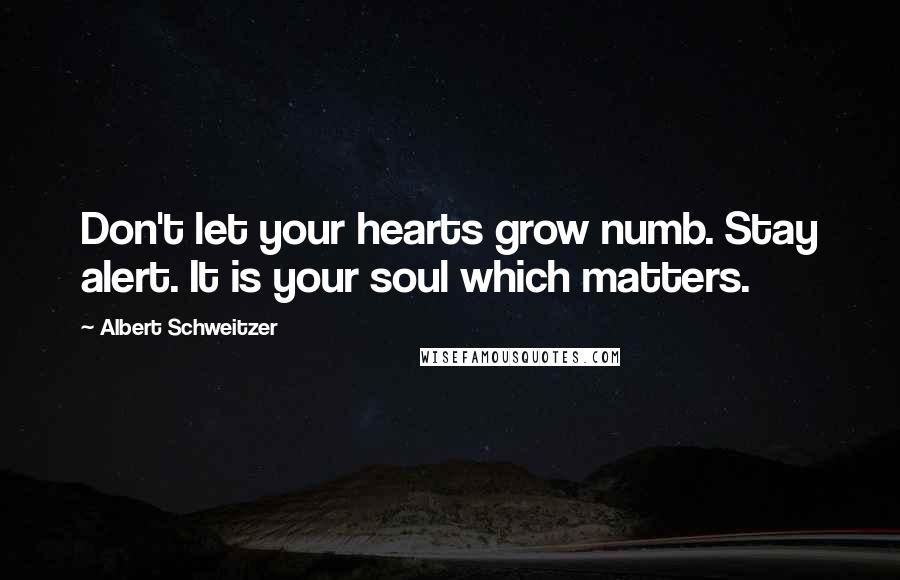 Albert Schweitzer Quotes: Don't let your hearts grow numb. Stay alert. It is your soul which matters.