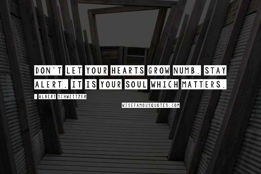 Albert Schweitzer Quotes: Don't let your hearts grow numb. Stay alert. It is your soul which matters.
